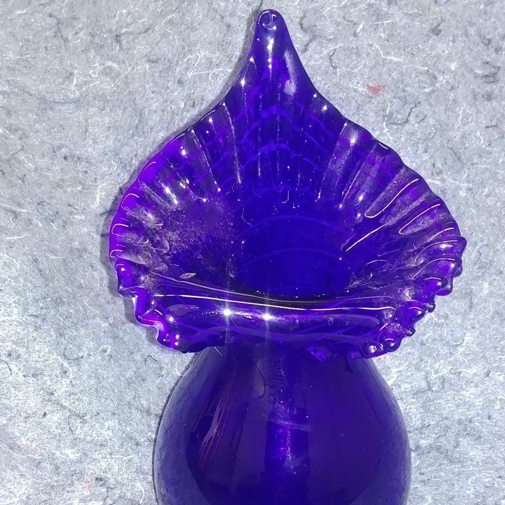 Cobalt Jack-in-the-Pulpit